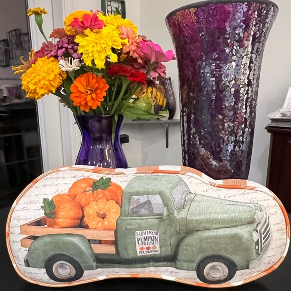 PRICE DROP - NWT FALL HARVEST DECORATIVE PILLOW - Picture 3 of 14